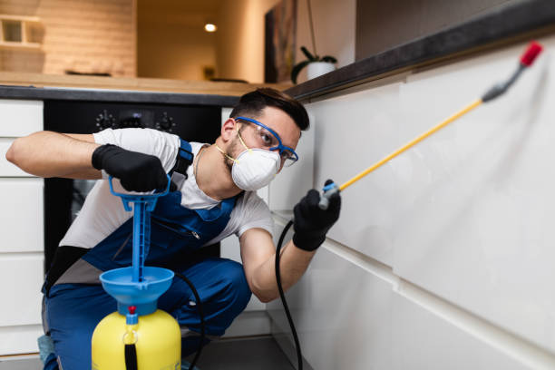 Trusted Murfreesboro, TN Pest Control Experts