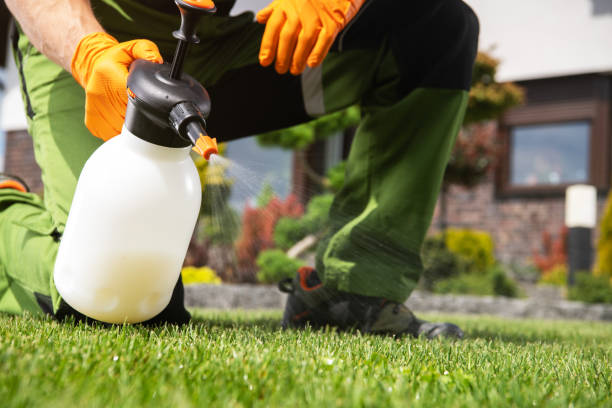 Best Insect Control  in Murfreesboro, TN