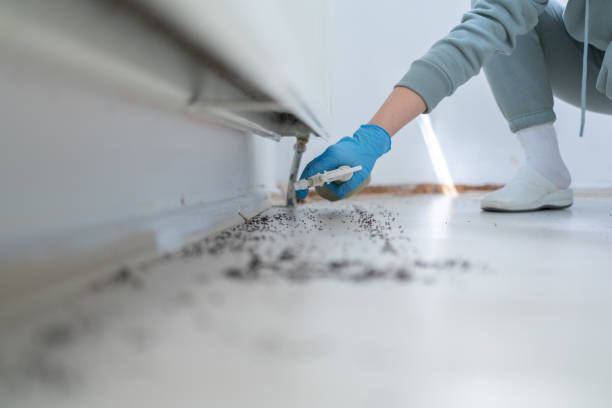 Best Best Pest Control Companies  in Murfreesboro, TN
